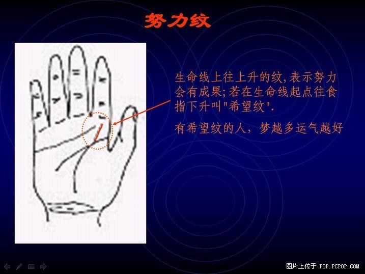 手掌纹路图解(6)(点击浏览下一张趣图)