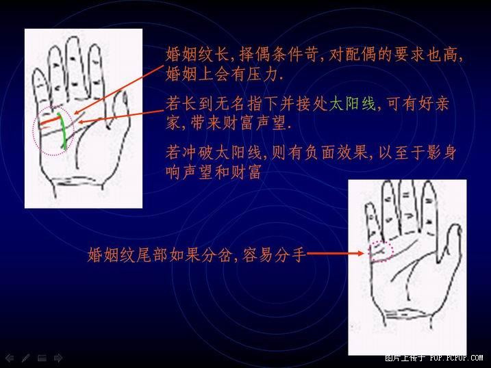 手掌纹路图解(13)(点击浏览下一张趣图)