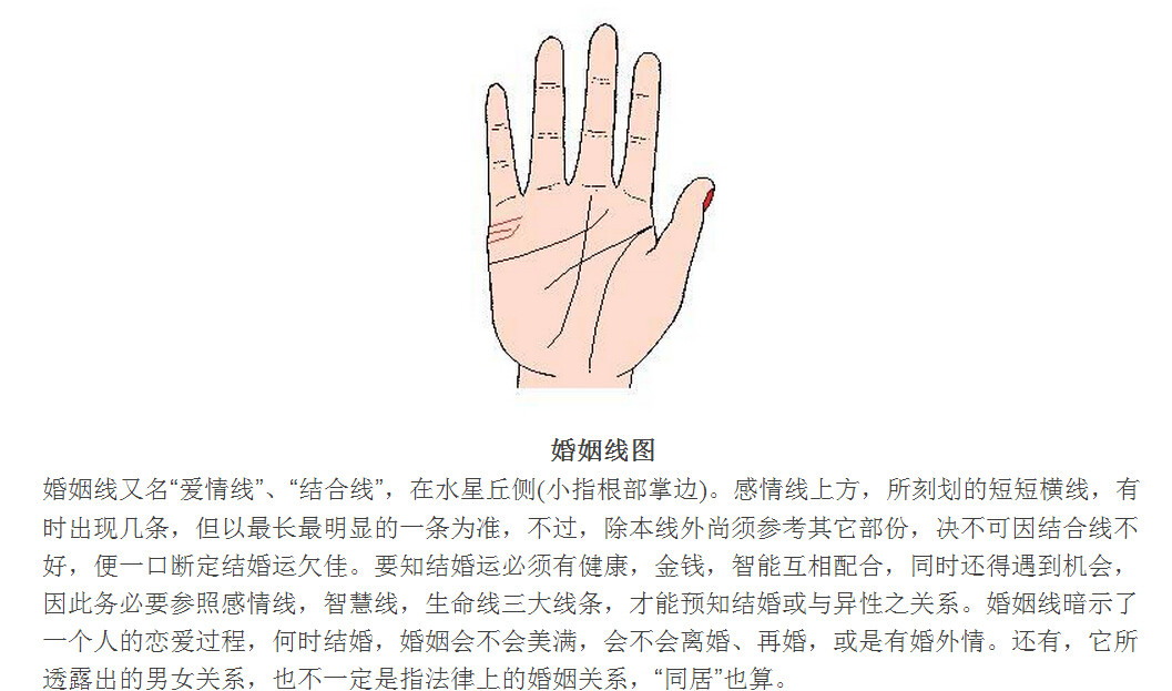 手纹算命图解(7)(点击浏览下一张趣图)