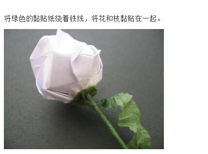 川崎玫瑰折法图解带【视频】(52)(点击浏览下一张趣图)