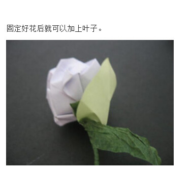 川崎玫瑰折法图解带【视频】(53)(点击浏览下一张趣图)
