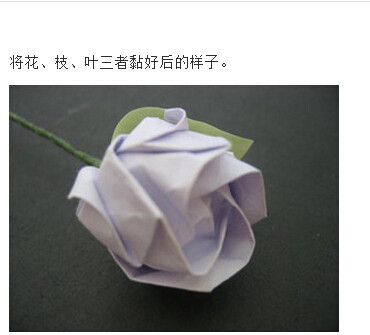 川崎玫瑰折法图解带【视频】(54)(点击浏览下一张趣图)