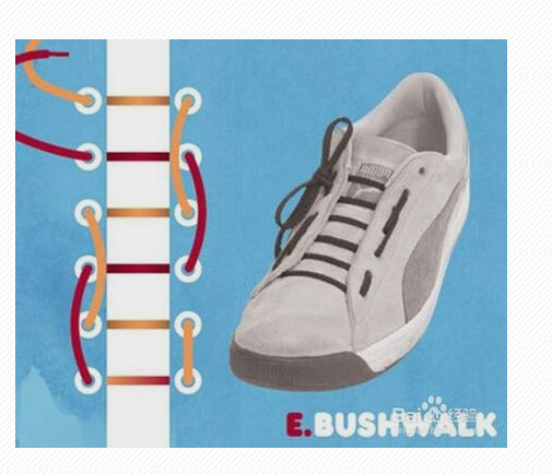 板鞋鞋带的系法图解(4)(点击浏览下一张趣图)