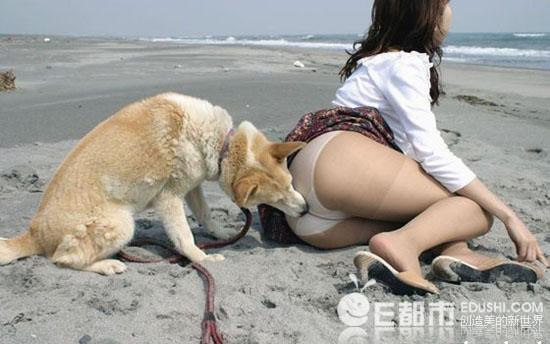 女人和狗在野外交配图(4)(点击浏览下一张趣图)