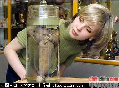中国小伙阴茎60厘米图(点击浏览下一张趣图)