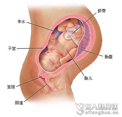 怀孕九个月胎儿图（男女B超图）(点击浏览下一张趣图)