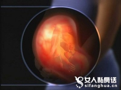 怀孕九个月胎儿图（男女B超图）(3)(点击浏览下一张趣图)