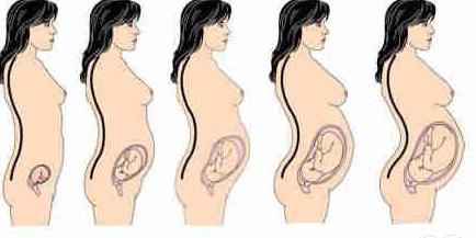 怀孕4个月注意事项(点击浏览下一张趣图)