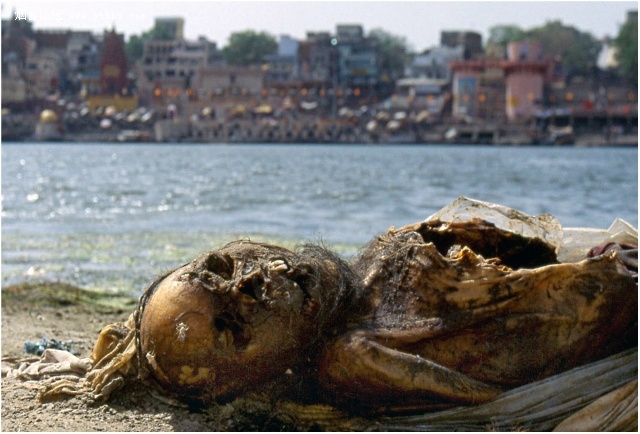 印度恒河的恶心图片:真实的印度太恐怖了(3)(点击浏览下一张趣图)