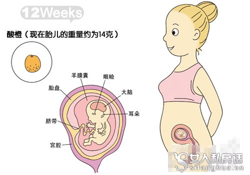 怀孕3个月胎儿b超图(点击浏览下一张趣图)