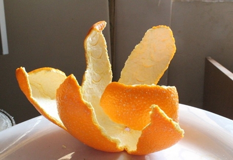新鲜的橘子皮千万别吃(点击浏览下一张趣图)