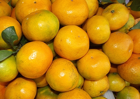 橘子不能多吃，食用橘子该注意事项(2)(点击浏览下一张趣图)