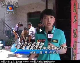 女记者太岁自慰器组图:女记者播报自慰器 太岁肉灵芝记者(5)(点击浏览下一张趣图)