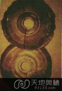 1938年青海发现一万两千年前的石蝶(点击浏览下一张趣图)