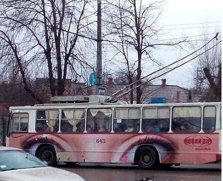 最美的公交车不服来辩(点击浏览下一张趣图)