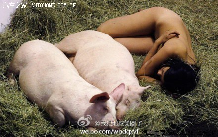 女子与猪同床4年图片：美女与野兽真人版(点击浏览下一张趣图)