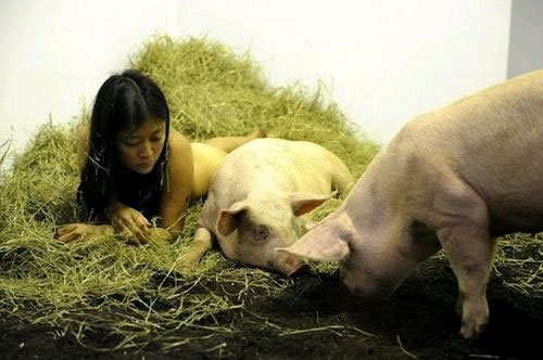 女子与猪同床4年图片：美女与野兽真人版(2)(点击浏览下一张趣图)