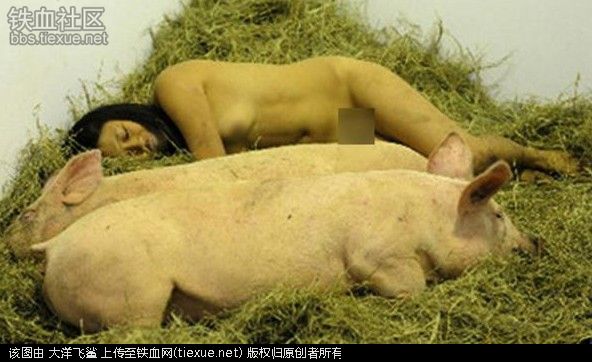 女子与猪同床4年图片：美女与野兽真人版(3)(点击浏览下一张趣图)