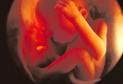 实拍四个月引产胎儿图片，实拍四个月引产胎儿图片(2)(点击浏览下一张趣图)