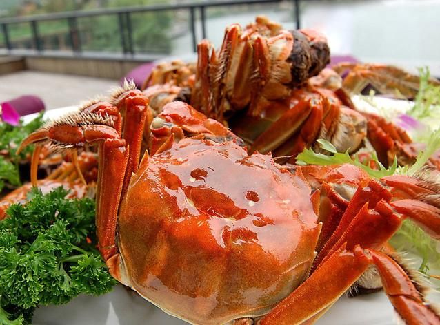吃螃蟹不可不知的8大禁忌(点击浏览下一张趣图)