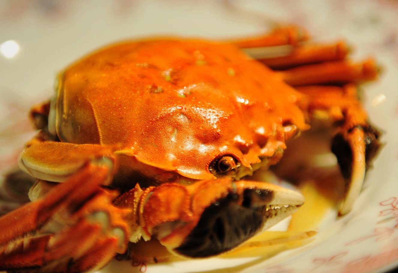 吃螃蟹不可不知的8大禁忌(2)(点击浏览下一张趣图)