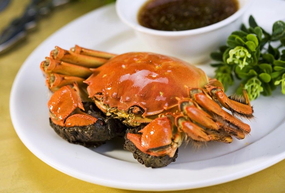吃螃蟹不可不知的8大禁忌(4)(点击浏览下一张趣图)