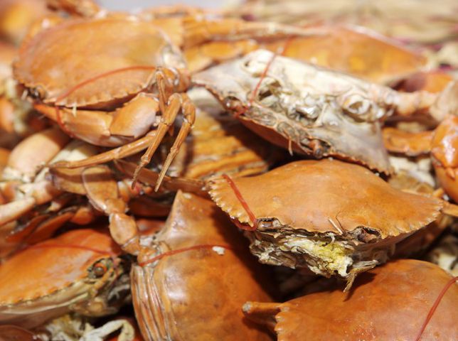 吃螃蟹不可不知的8大禁忌(6)(点击浏览下一张趣图)
