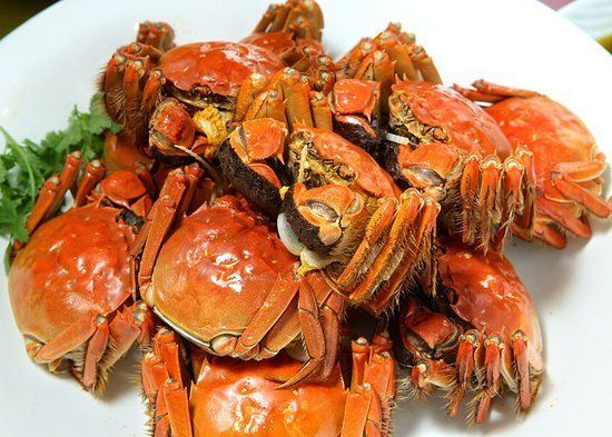 吃螃蟹不可不知的8大禁忌(10)(点击浏览下一张趣图)