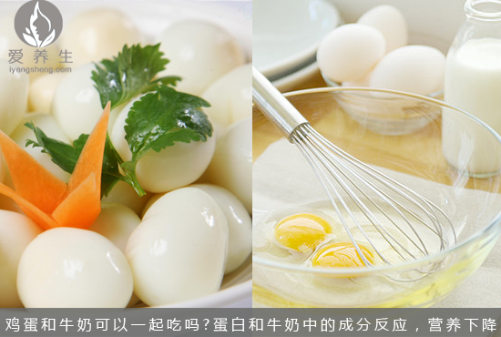 鸡蛋和豆浆牛奶能一起吃吗？(3)(点击浏览下一张趣图)