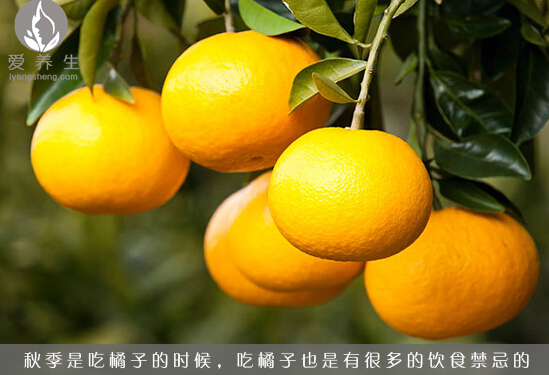 金秋十月吃橘子 6大禁忌伤身体(点击浏览下一张趣图)