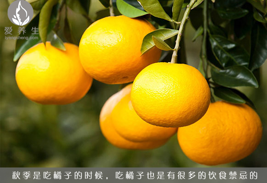 金秋九月吃橘子 6大禁忌要知道(点击浏览下一张趣图)
