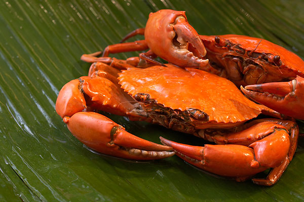 秋天吃蟹有技巧  8个禁忌需警惕(2)(点击浏览下一张趣图)