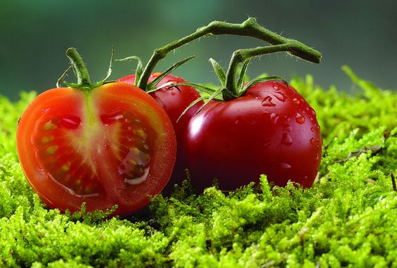 健康饮食 西红柿拌白糖危害大揭秘(5)(点击浏览下一张趣图)