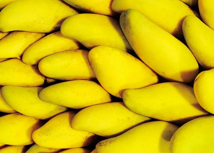 夏季吃芒果必须知道的4大禁忌(3)(点击浏览下一张趣图)