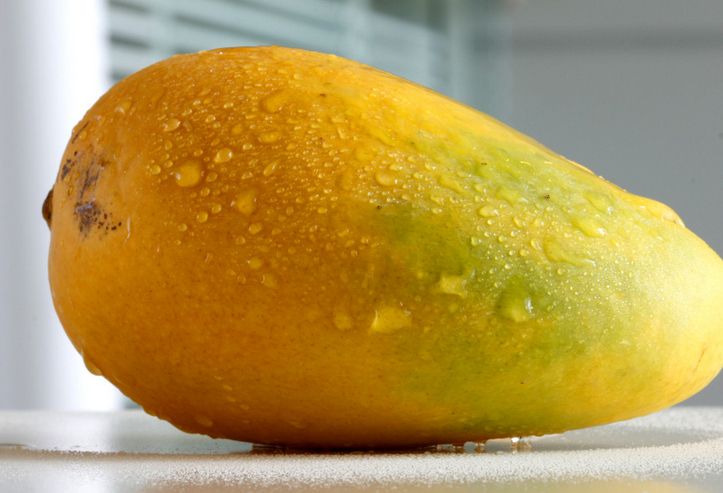 夏季吃芒果必须知道的4大禁忌(10)(点击浏览下一张趣图)