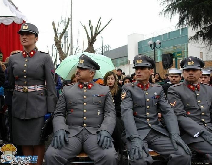 女性耻骨肉多代表什么图解：女生耻骨高有什么好处(4)(点击浏览下一张趣图)