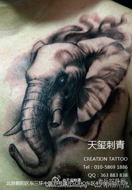 男生下体大象纹身图案：男人裆部大象纹身图案 男生在丁丁上纹身图片(5)(点击浏览下一张趣图)
