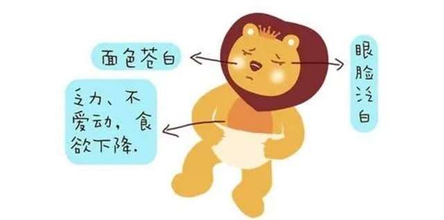 6个月以上的孩子，缺铁性贫血！(点击浏览下一张趣图)