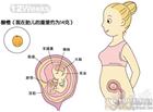 怀孕3个月胎儿b超图