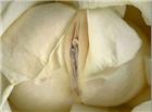 女性生殖器艺术图片