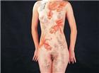 女人体写生素描真人图片欣赏人体裸模写生过程视频