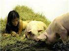 女子与猪同床4年同吃睡还接吻图片：女子与猪同吃同睡五年
