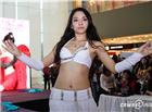 像佟丽娅的乳模：陕西国际胸模大赛图片