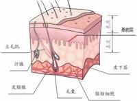 面膜的正确用法 面膜怎么用效果最好