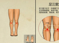 足三里的准确位置图片 女性敲打足三里的好处有哪些