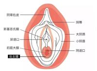 怎么按自己的小豆豆,揉自己的痘痘揉到腿软的方法