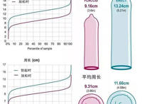 正常男人小弟弟的一般标准是多长多粗