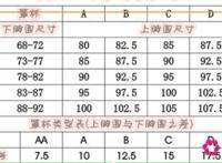 女人的内衣怎么分大小