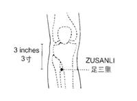 中医按摩穴位的四个有效减肥方法