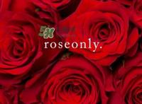 2017七夕礼盒roseonly多少钱？roseonly巨型玫瑰礼盒多少钱？